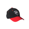 Caps Panthers