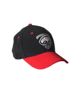 Caps Panthers