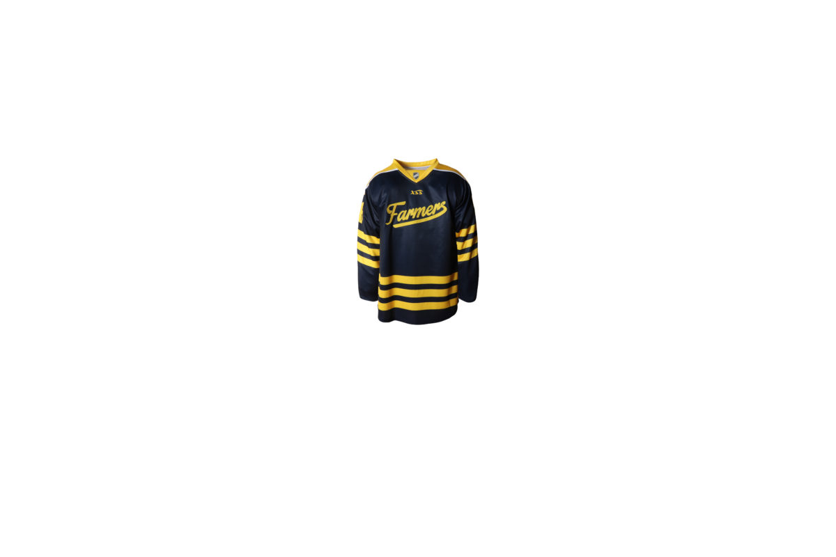 Ice hockey sport